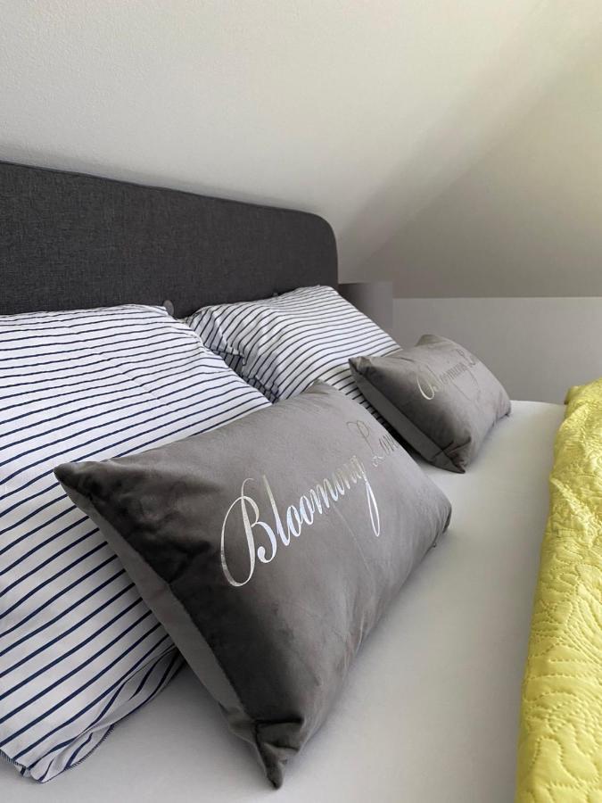 Apartman Pavic Вінковці Екстер'єр фото